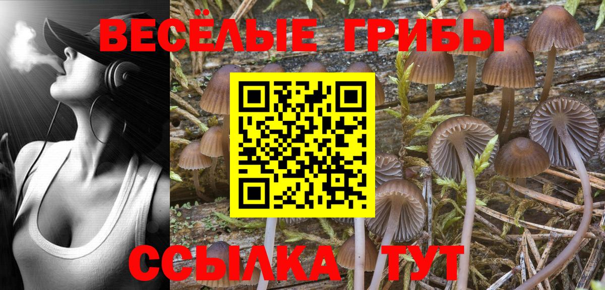 Псилоцибиновые грибы GOLDEN TEACHER  Вход с VPN  Елизово 